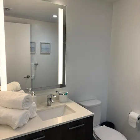 Alea Miami-3